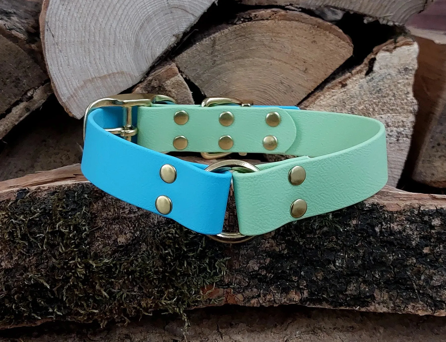 Baby Blue & Apple Green Waterproof Collar