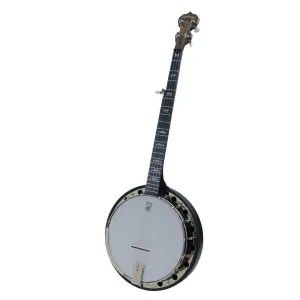 Deering Banjos A2 Artisan Goodtime Two Series